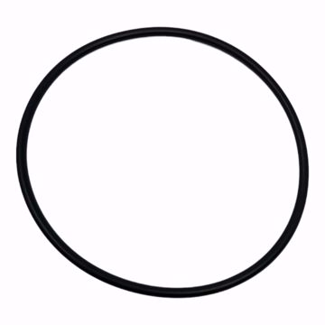 Picture of J94141 BELL & GOSSETT O-RING