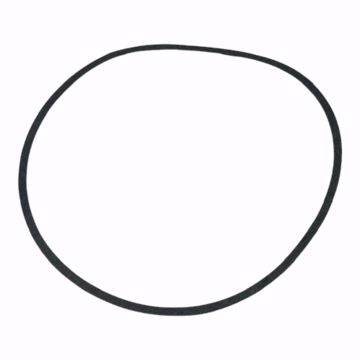 Picture of BODY GASKET TI FIT B&G SERIES 80 PUMPS P48690