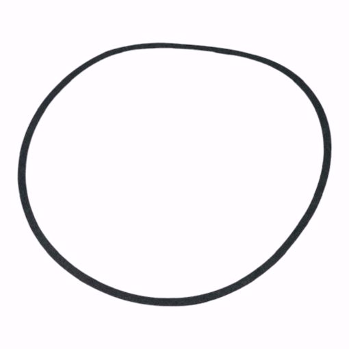 Picture of BODY GASKET TI FIT B&G SERIES 80 PUMPS P48690