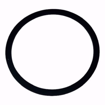 Picture of VOLUTE BODY GASKET TO FIT HOFFMAN PUMP