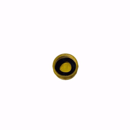 Picture of HOSE CAP WITH GASKET