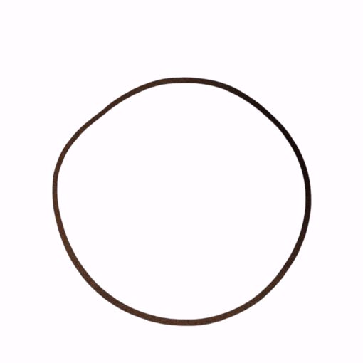 Picture of BELL & GOSSETT BODY GASKET FOR 1510 SERIES