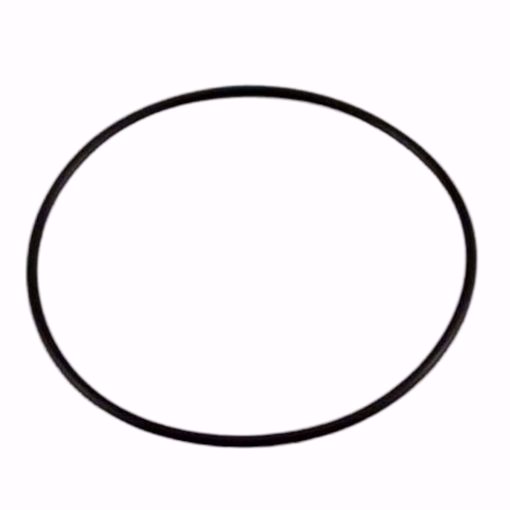 Picture of O-RING