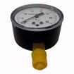 Picture of REF # 161964, DIAPH GAUGE, 30" WC, 1/4 NPT, LM 2.5 FACE