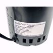 Picture of EN148055 ELITE REPLACEMENT FOR REZNOR 115V VENT MOTOR 148055