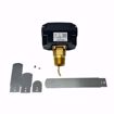 Picture of FLOWSWITCH W/SS PADDLES NEMA4