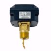 Picture of FLOWSWITCH W/SS PADDLES NEMA4