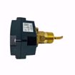 Picture of FLOWSWITCH W/SS PADDLES NEMA4