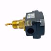 Picture of FLOWSWITCH W/SS PADDLES NEMA4