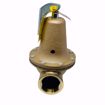 Picture of 0278030 174A PRESSURE RELIEF VALVE 2 IN 30PSI 3,815,000 BTU