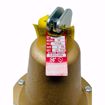 Picture of 0278030 174A PRESSURE RELIEF VALVE 2 IN 30PSI 3,815,000 BTU