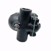 Picture of WATTS 1 F&T STEAM TRAP 15 PSI MAX