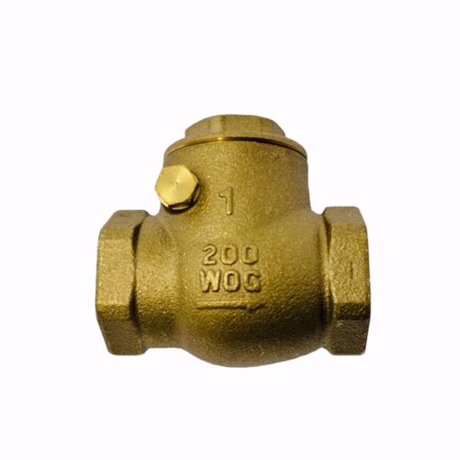Picture of 1 INCH LFWCV CHECK VALVE