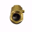 Picture of 1 INCH LFWCV CHECK VALVE