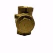 Picture of 1 INCH LFWCV CHECK VALVE