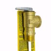 Picture of 100XL 3/4 T&P RELIEF VALVE SET @ 150 PSI 4 STEM