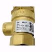 Picture of 3/4   BBFP, BRONZE BACKFLOW PREVENTER