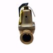 Picture of WATTS 740 3/4 X 1 RELIEF VALVE SET AT 75 PSI