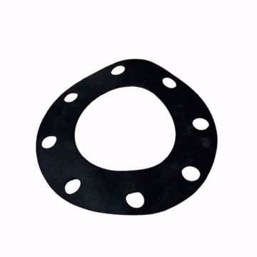 Picture of 5 FULL FACE FLANGE GASKET