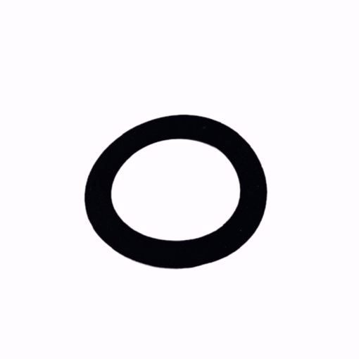 Picture of FLANGE GASKET REPLACES 118065 B&G & 805209-000 ARMSTRONG