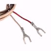 Picture of PILOT,THERMO-COUPLE/PILE60 2 - LEAD THERMOPILE