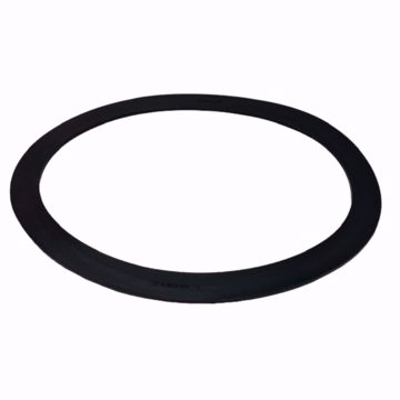 Picture of T1131-ELL-S0180 12X16X112E GASKET