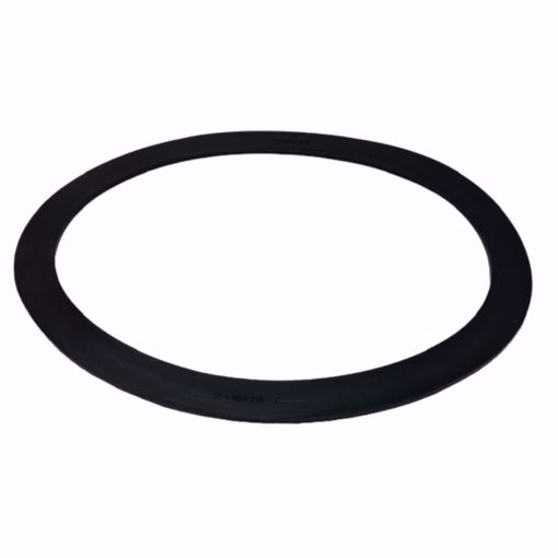 Picture of T1131-ELL-S0180 12X16X112E GASKET