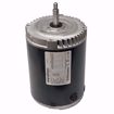 Picture of 2HP 208-230/460V 3450RPM MOTOR
