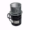 Picture of INDUCER MOTOR W/WHEEL