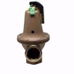 Picture of 174A 2 INCH, 40 PSI, 4,690,000  BTU RELIEF VALVE
