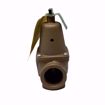 Picture of WATTS 740 1 50 PSI 1899000 RELF VALVE