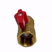Picture of 3/4 IPS GAS BALL VALVE, 2256