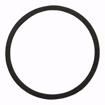 Picture of BELL & GOSSETT BODY GASKET