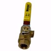 Picture of 1/2 IPS FP BR BALL VALVE W/IPS HOLE, 4172