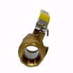 Picture of 1 IPS FP BR BALL VALVE W/IPS HOLE, 4172