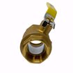 Picture of 1 1/4 IPS FP BR BALL VALVE W/IPS HOLE, 4172
