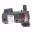 Picture of HOFFMAN WATCHMAN B-STYLE PUMP & MOTOR ASSEMBLY .33 HP