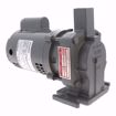 Picture of HOFFMAN WATCHMAN B-STYLE PUMP & MOTOR ASSEMBLY .33 HP