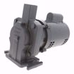 Picture of HOFFMAN WATCHMAN B-STYLE PUMP & MOTOR ASSEMBLY .33 HP