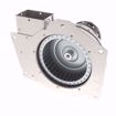 Picture of FASCO COMPLETE BLOWER ASSEMBLY WITH 115V 1-.35AMP 2 SPEED S.