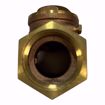 Picture of 1-1/2 IPS Y-TYPE SWING CHECK VALVE