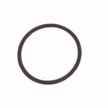Picture of P04080 B&G REPLACEMENT GASKET FOR 100 SERIES