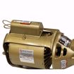 Picture of 100 SERIES BNFI BRONZE CIRCULATOR 115V, LEAD FREE