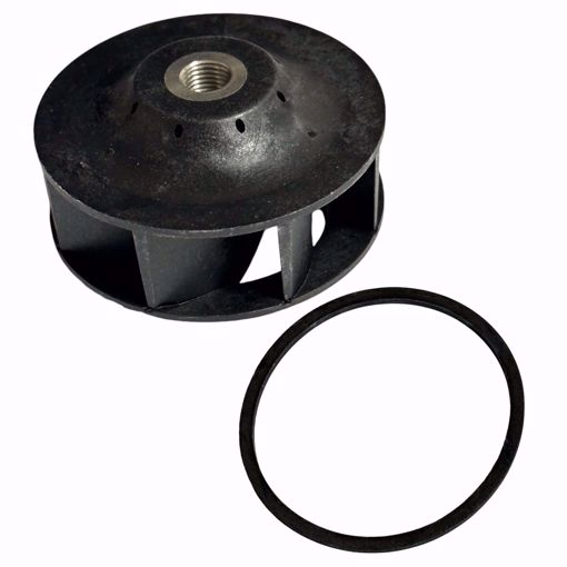 Picture of REPLACEMENT IMPELLER KIT FOR 2400-70