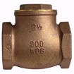 Picture of 2-1/2 T-451 CHECK VALVE NL