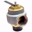Picture of 0930-J01-GC0015 KUNKLE 2-1/2"MALE NPT INLET X 2-1/2" FEMALE NPT  15# 4497#PH STEAM REL.