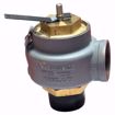 Picture of 0930-J01-GC0015 KUNKLE 2-1/2"MALE NPT INLET X 2-1/2" FEMALE NPT  15# 4497#PH STEAM REL.