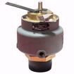 Picture of 0930-J01-GC0015 KUNKLE 2-1/2"MALE NPT INLET X 2-1/2" FEMALE NPT  15# 4497#PH STEAM REL.