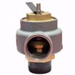 Picture of 0930-J01-GC0015 KUNKLE 2-1/2"MALE NPT INLET X 2-1/2" FEMALE NPT  15# 4497#PH STEAM REL.