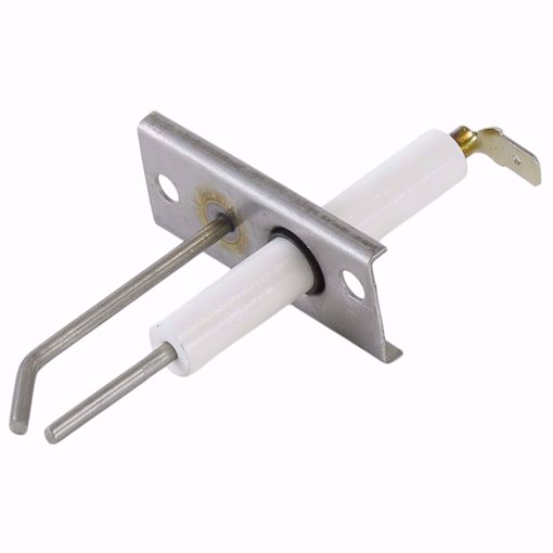 Picture of DSI IGNITOR